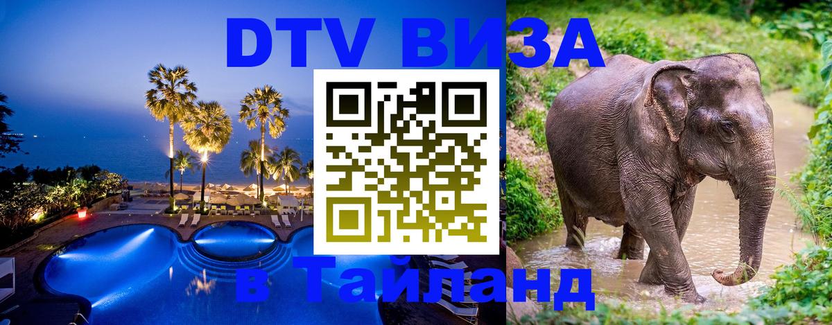 Оформление DTV визы под ключ: стоимость и тарифы, только загранпаспорт - Киев 